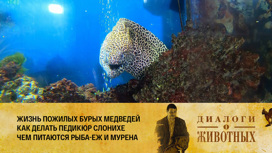 Калининградский зоопарк Серия 11