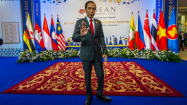 Индонезия призывает смягчить риторику в адрес России на G20