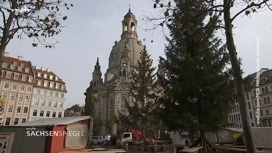 В Дрездене не смогли раздобыть красивые рождественские елки