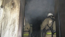 В Волжском районе Марий Эл 11 пожарных тушили садовый дом