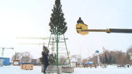 Новогодние елки начали устанавливать в разных районах Благовещенска