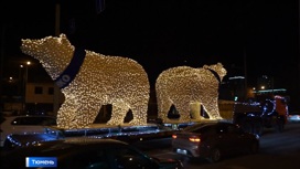 Светодиодные медведи засияют праздничными огнями в Тюмени вечером 2 декабря