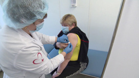 Роспотребнадзор предупредил о высоком риске эпидемии свиного гриппа
