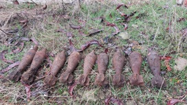 На Кубани за две недели взорвали три десятка боеприпасов