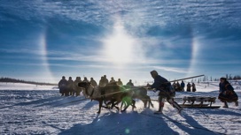 В северных регионах в феврале-апреле проводится один из важнейших праздников для коренных народов Севера – "День оленевода"