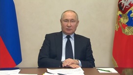 Путин поручил обеспечить запас лекарств в сезон гриппа и ОРВИ