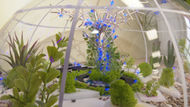 Дендрарий с экзотическими растениями решили построить в 25 гимназии Иркутска