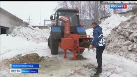 В Нижегородской области завершилась экологическая акция по правильной утилизации новогодних деревьев "Елка 2.0"
