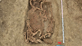 На Кубани нашли могильник времен Римской Империи
