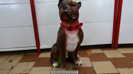 Статуя собаки нокаутировала вора-неудачника на Камчатке