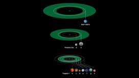 Здесь сравниваются три экзопланетные системы красных карликов, в которых находятся планеты с "земной" массой. Зелёные кольца — обитаемые зоны звёзд.