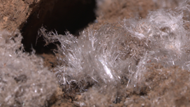 В Нижнеудинском районе обнаружили редчайший в мире минерал — рапидкрикит