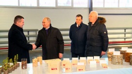 Владимир Путин высоко оценил организацию лесопереработки в Архангельской области