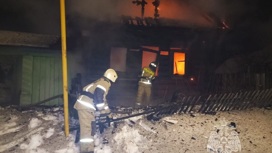 Хозяйка горевшего дома пострадала при пожаре в Волжске