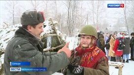 В Сольцах отметили 80 лет создания пятой  Ленинградской партизанской бригады