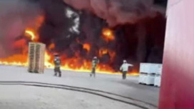 Работники чилийской фруктовой компании спешно эвакуированы из-за сильного пожара