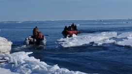 Застрявшим на льдине в море рыбакам помогли добраться до берега