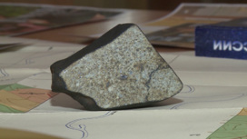 Фрагмент нового метеорита пополнил коллекцию Уральского геологического музея