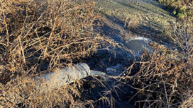Суд обязал рекультивировать загрязнённые канализацией земли под Астраханью