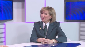 На телеканале "Россия 24. Башкортостан" рассказали о нововведениях в части Единого налогового счета
