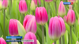 Эфир от 05.03.2023