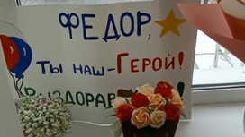 Цифры от Шойгу, медаль для героя, Европа бастует
