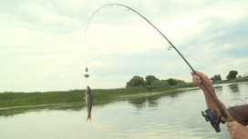 В Астраханской области с 16 мая запретят рыбалку