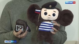 Из Омска бойцам СВО отправляют партию стилизованных Чебурашек