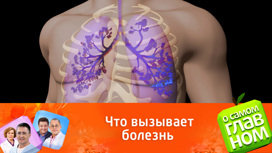 Правда и мифы о бронхиальной астме