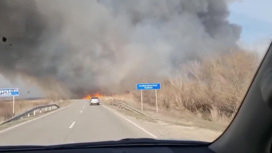 В Астрахань пришли лесные пожары