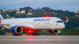 На ближайшие двое суток "Аэрофлот" отменил собственные рейсы в Сочи