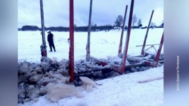 За разрушенную ледовую переправу на реке Онеге перевозчик заплатит 350 тысяч рублей