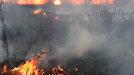 Иркутская область готова к предстоящему пожароопасному сезону