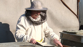 Пчеловоды Волгоградской области готовятся к новому сезону