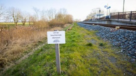 Барсук остановил движение поездов на юге Нидерландов