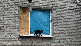 Киевлянам советуют закрыть окна и больше пить