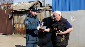 С 1 апреля в Волгоградской области будет введен особый противопожарный режим