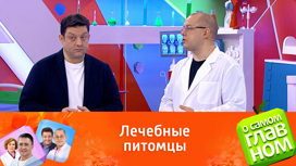 Почему хозяева домашних животных реже болеют