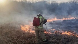В Лунинском и Иссинском районах 10 пожарных тушили сухую траву