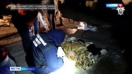 Браконьеров с тушей убитого амурского тигра задержали в Хабаровске