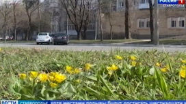 На Ставрополье снова тепло и солнечно, а соседей-ростовчан завалило снегом