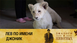 Ташкентский зоопарк Серия 10