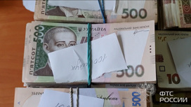 Граждане Украины пытались вывезти из РФ миллионы гривен