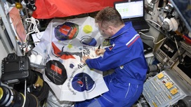 С борта МКС космонавты обратились к жителям Волгоградской области