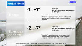 До 7 градусов мороза ожидается в Томской области в пятницу