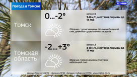 До 2 градусов мороза ожидается в Томске в среду