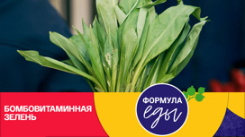 Черемша: как отличить зеленый суперфуд от ядовитого двойника