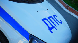 Авторские материалы