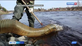 Три тысячи мальков озерного лосося, занесенного в красную книгу России, выпустили в реку Шуя