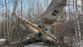 Около старого аэропорта Новосибирска упал самолет
